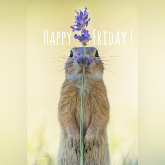 Wishing everyone a phenomenal month of huge sales & fun - Picture 3 of 16